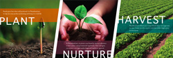 professional poster & flyer designs st louis mo graphic design firm
