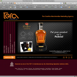 custom design flash animation navigation web site