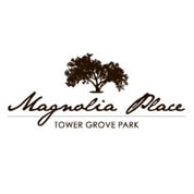 Custom Designed Logo Branding St Louis MO
