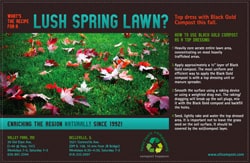 Custom Designed Display Ad - graphic design