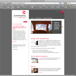 congruence-150x150 custom wordpress website