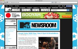 MTV newsroom Entertainment WordPress Website