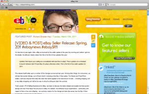 Ebay Ebay Ink WordPress Website and Blog