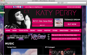 Katy Perry Katy Perry WordPress Website