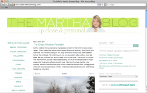 Martha Stewart Martha Stewart WordPress Blog Website