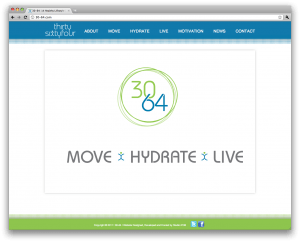 30-64 - WordPress Website