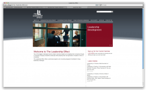 Leadership-Effect finished website Leadership-Effect finished website
