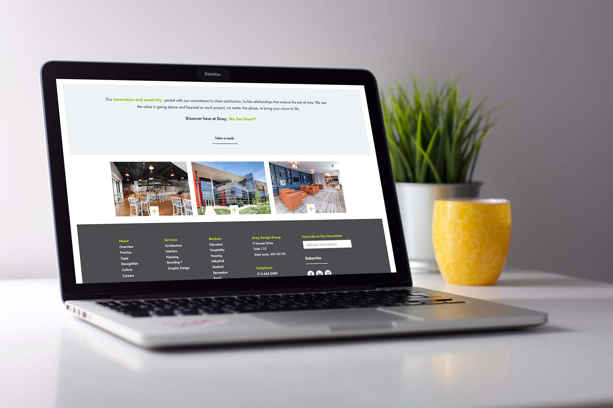 Gray-desktop-laptop-plant